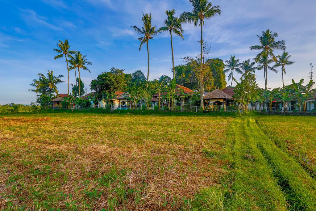 Villa Kaba Kaba Resort Canggu Exterior foto