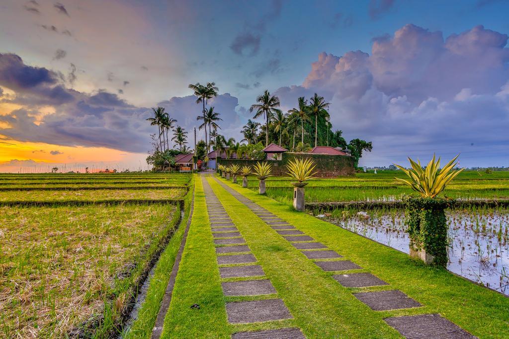 Villa Kaba Kaba Resort Canggu Exterior foto