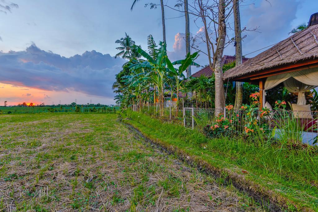 Villa Kaba Kaba Resort Canggu Exterior foto